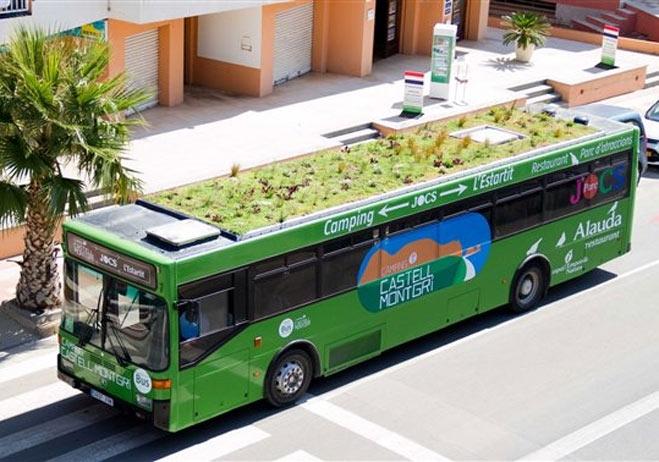 ¿Techos verdes en colectivos?